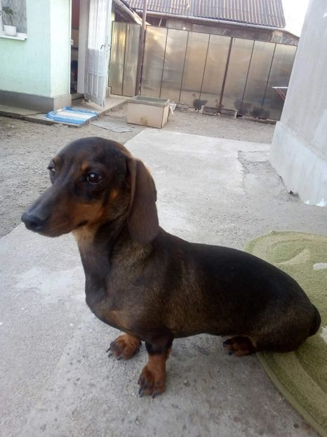 received_201792100625901 - TEKEL DE VINZARE