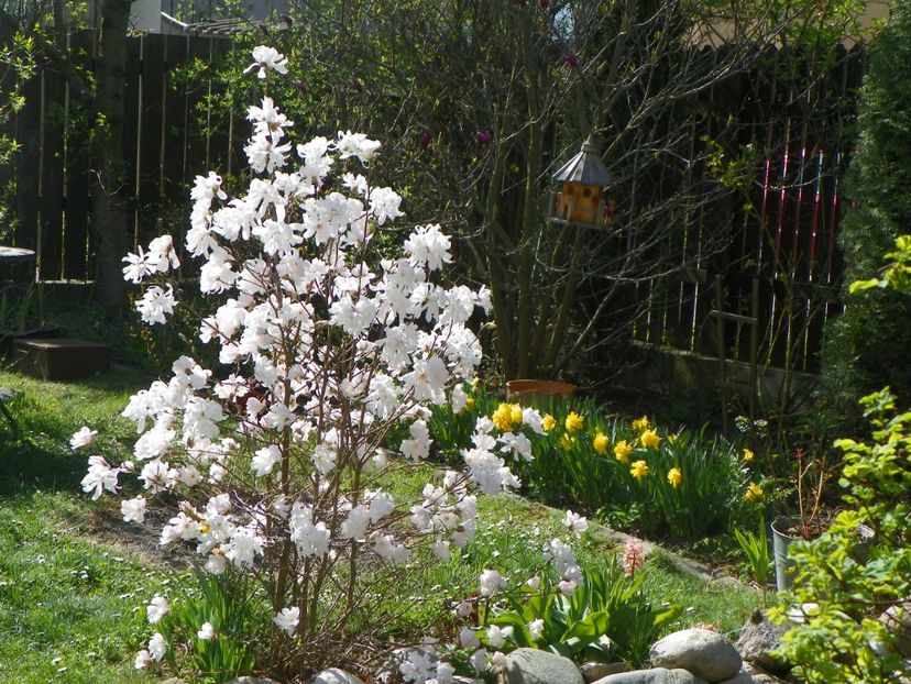 13 apr (27) - Primavara 2018