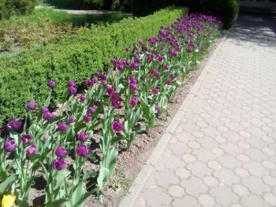  - 2018 O ZI SUPERBA LA GRĂDINA BOTANICĂ