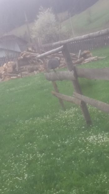  - 05 Arhiva Bibilici - Picheri