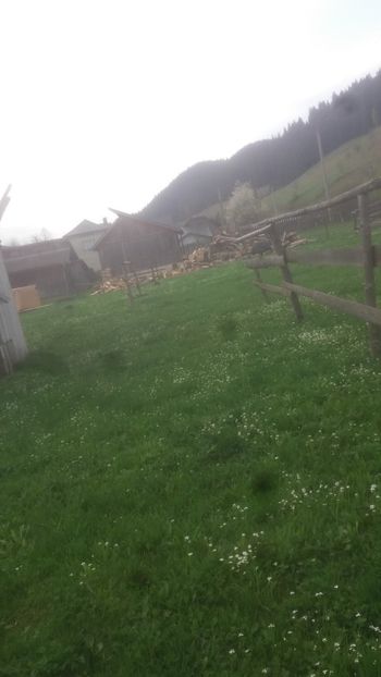  - 05 Arhiva Bibilici - Picheri