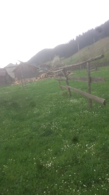  - 05 Arhiva Bibilici - Picheri