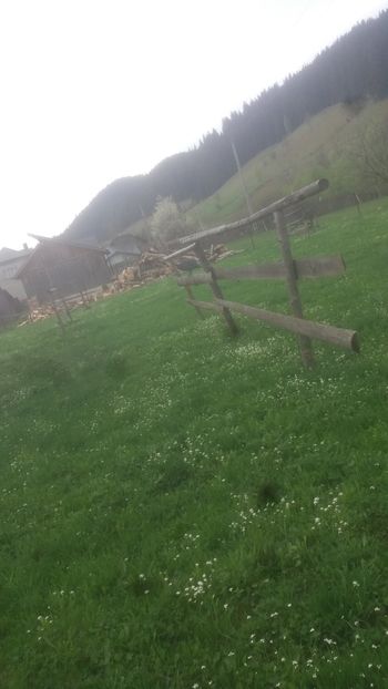  - 05 Arhiva Bibilici - Picheri