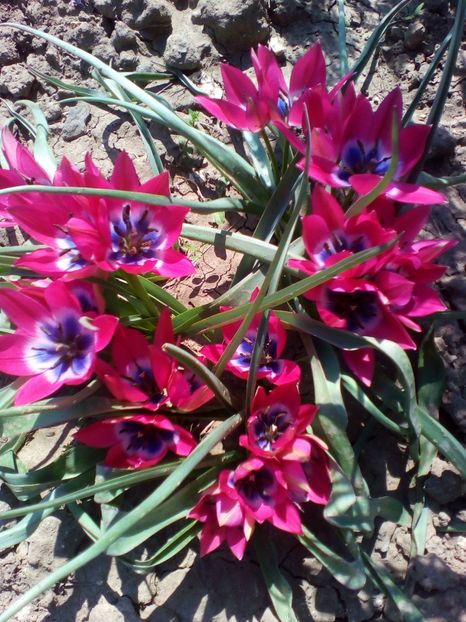  - curtea cu toate cele 2018