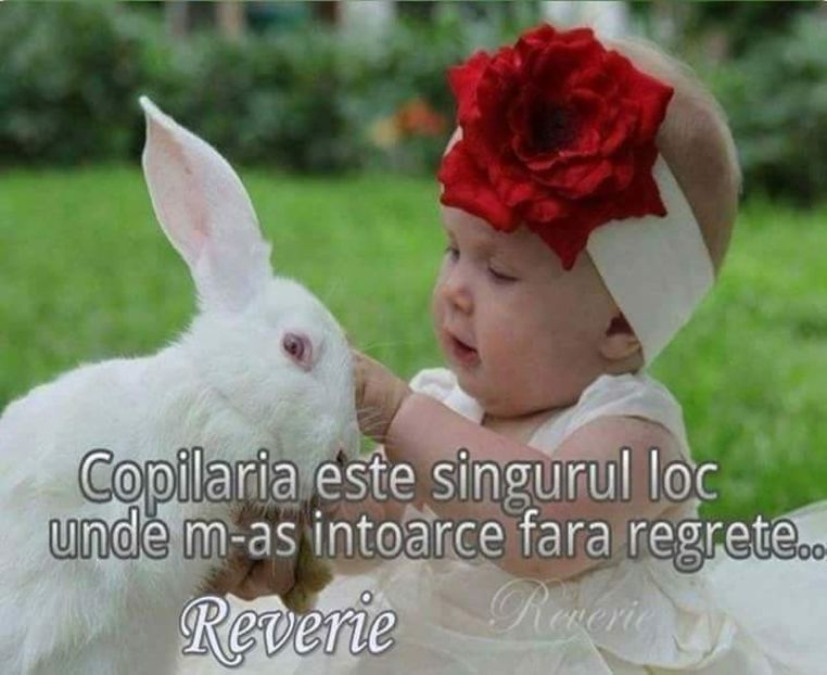  - Poze 3