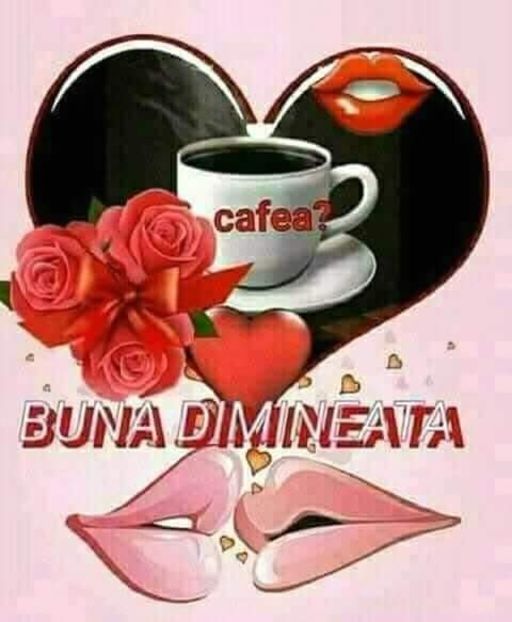  - Poze 3