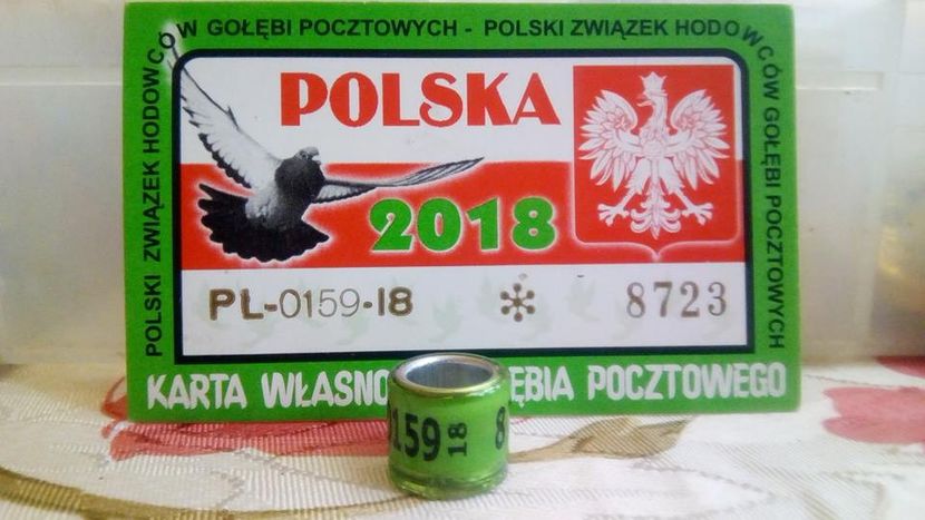 PL 18 FCI - POLONIA - PL