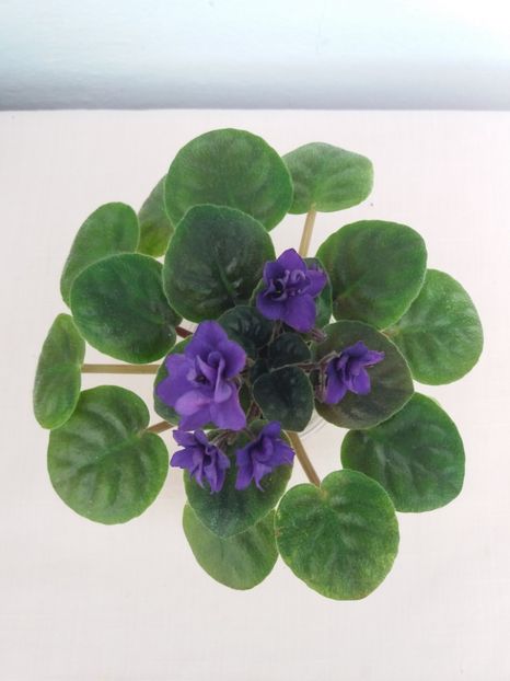 20 apr - ZZ Rob s Denim Demon