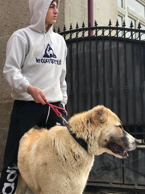 3FFE94A0-0826-4A11-AE8F-2838BE54789D - 1 Căței Asia Centrală 2017-2018