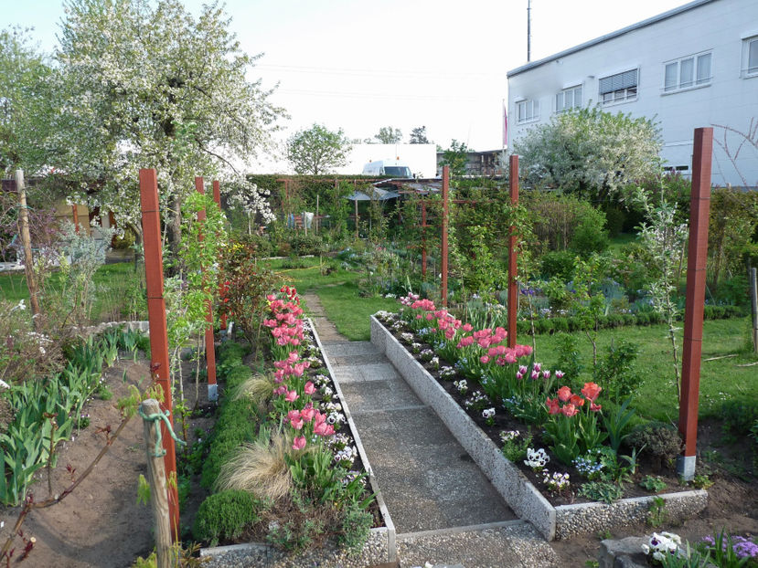  - 2018 - 01 - Primavara