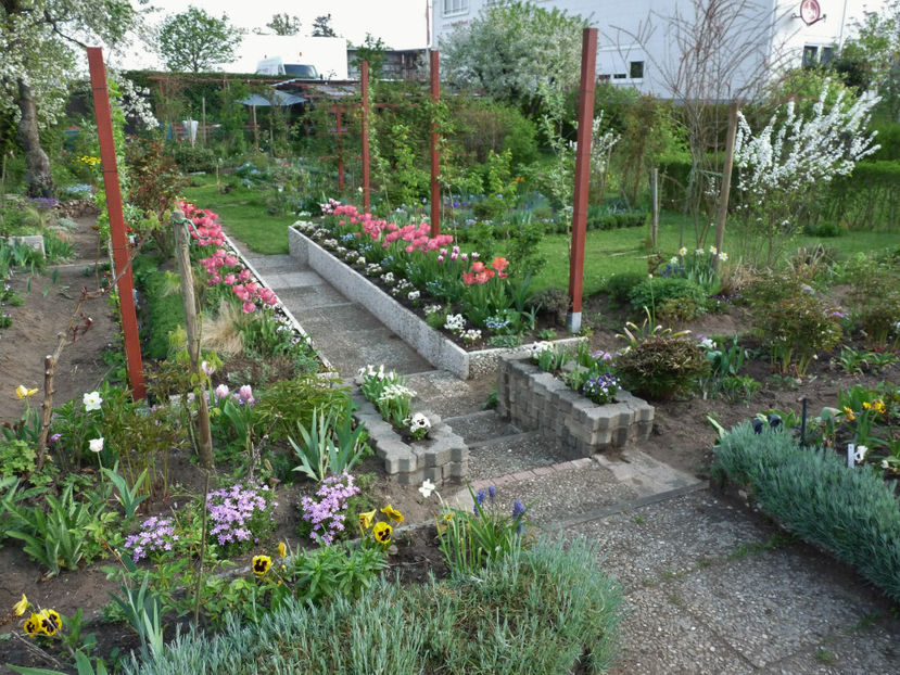  - 2018 - 01 - Primavara