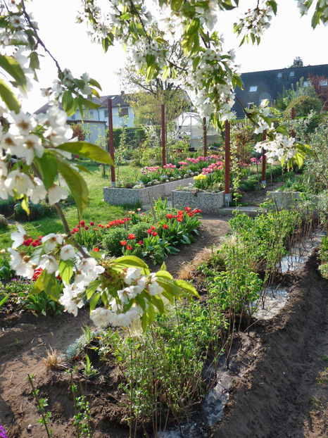  - 2018 - 01 - Primavara