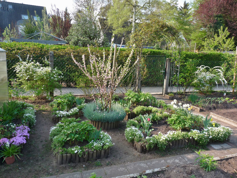  - 2018 - 01 - Primavara