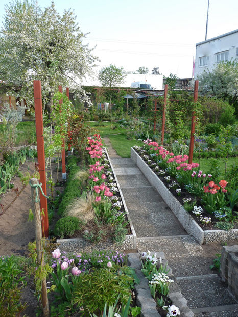  - 2018 - 01 - Primavara