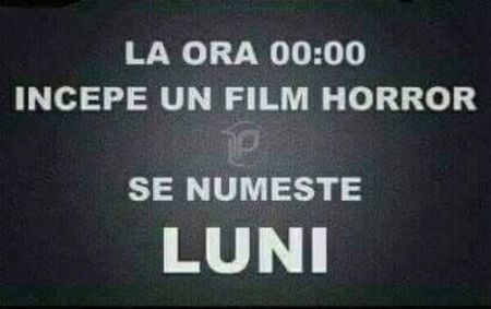  - Poze 3