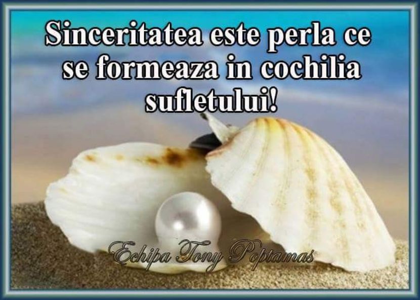  - Poze 3