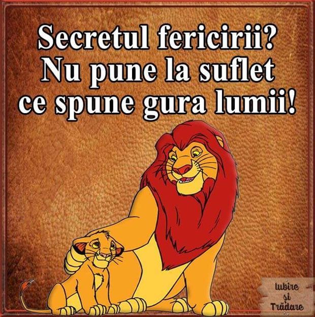  - Poze 3