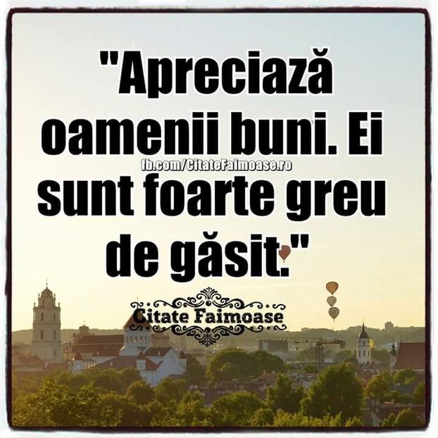  - Poze 3