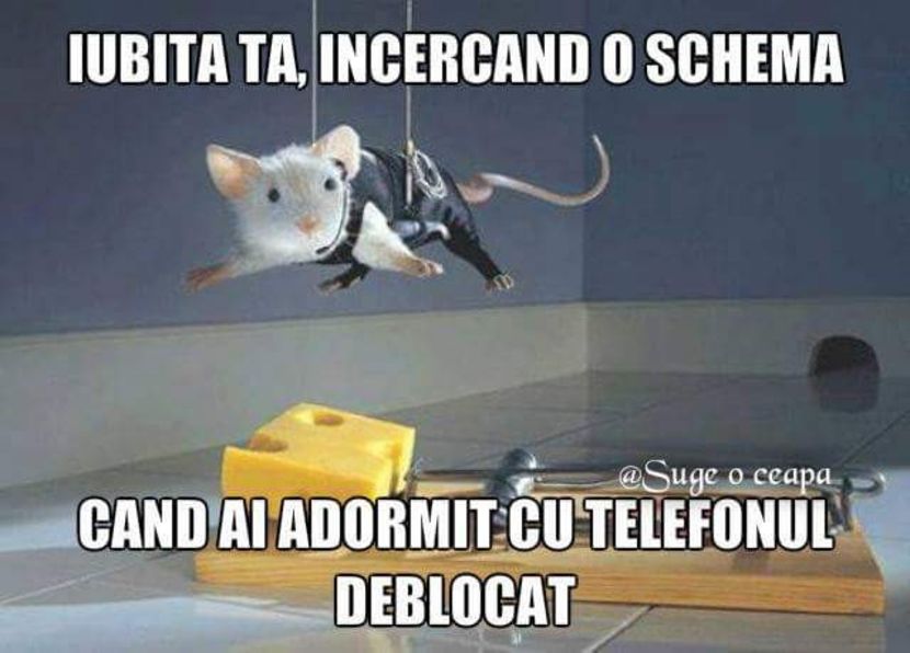  - Poze 3