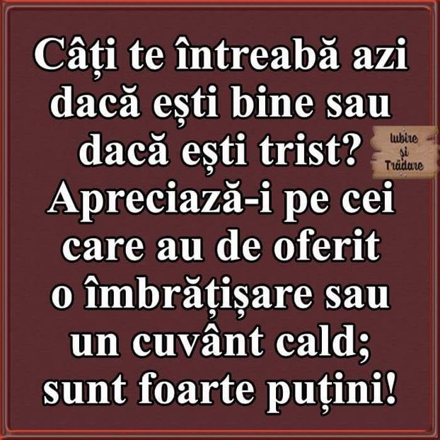  - Poze 3
