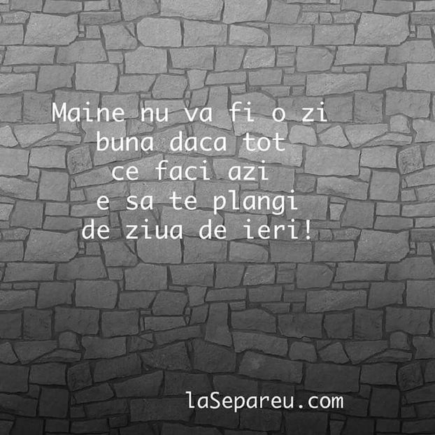  - Poze 3