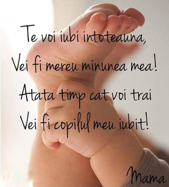  - Poze 3