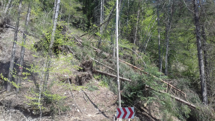  - Lacul Lesu-Valea Iadului 2018