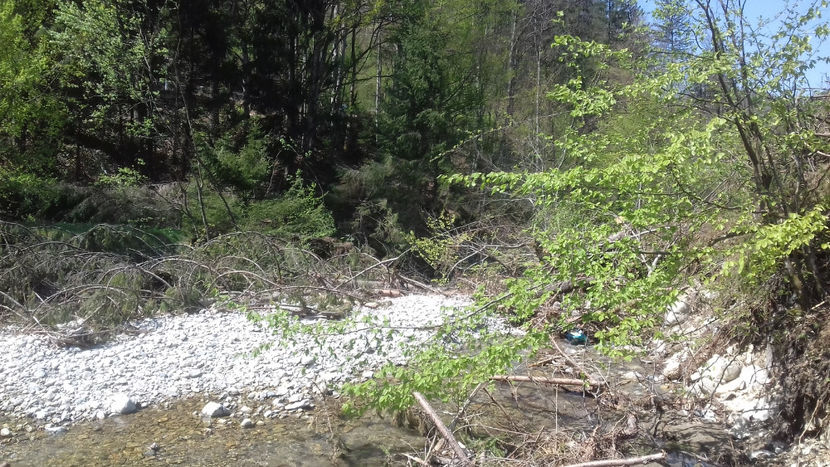  - Lacul Lesu-Valea Iadului 2018
