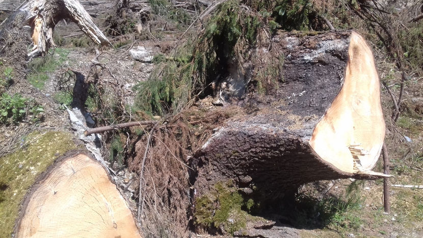  - Lacul Lesu-Valea Iadului 2018