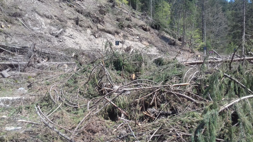  - Lacul Lesu-Valea Iadului 2018