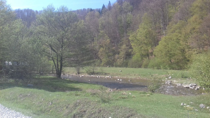  - Lacul Lesu-Valea Iadului 2018