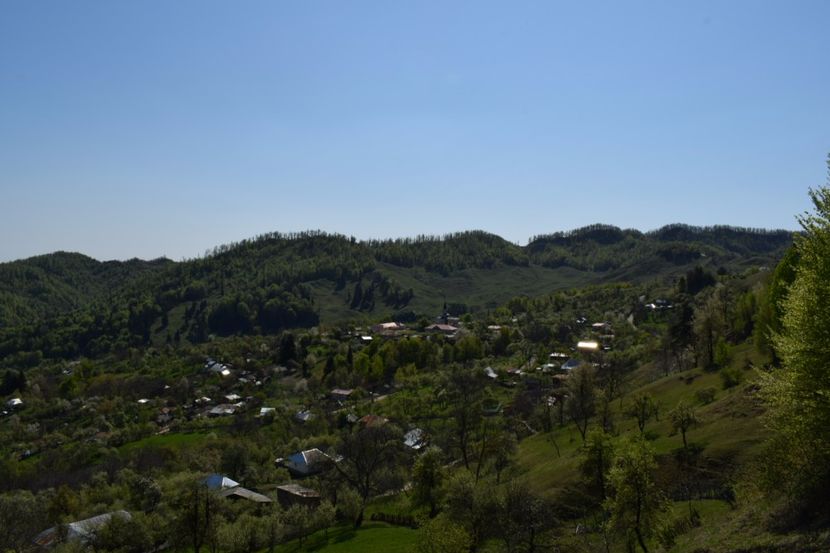  - Primăvara sălbatică