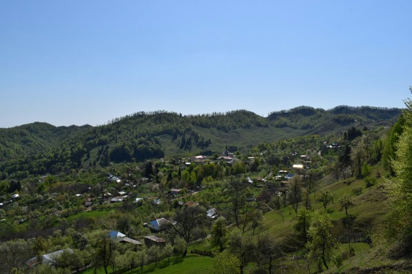  - Primăvara sălbatică