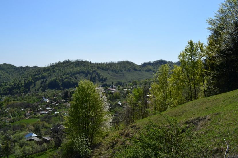  - Primăvara sălbatică