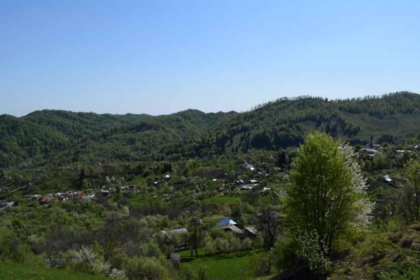  - Primăvara sălbatică