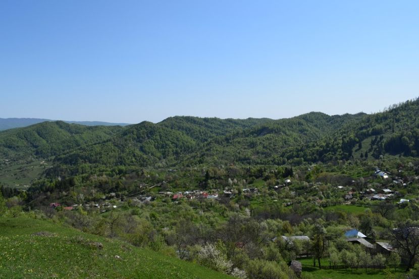  - Primăvara sălbatică