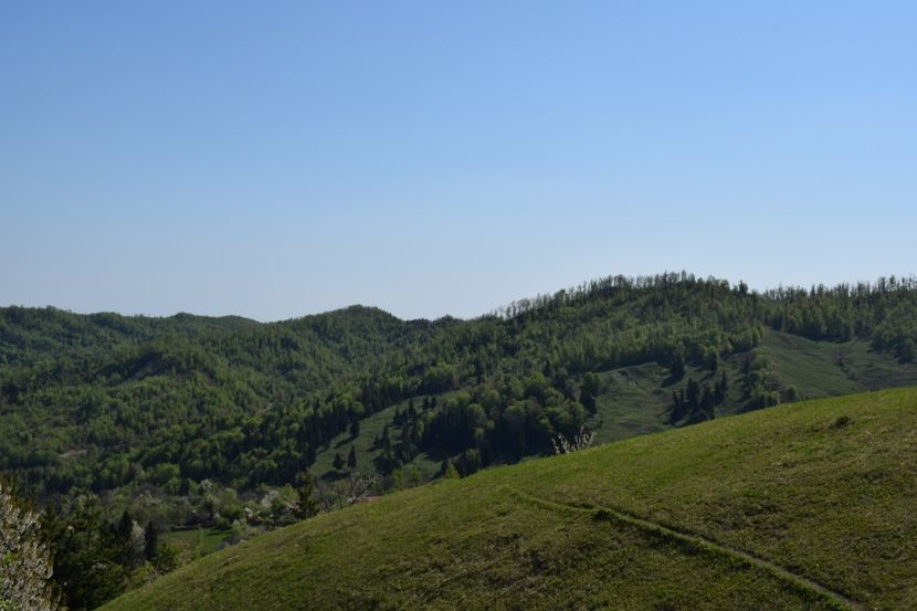  - Primăvara sălbatică