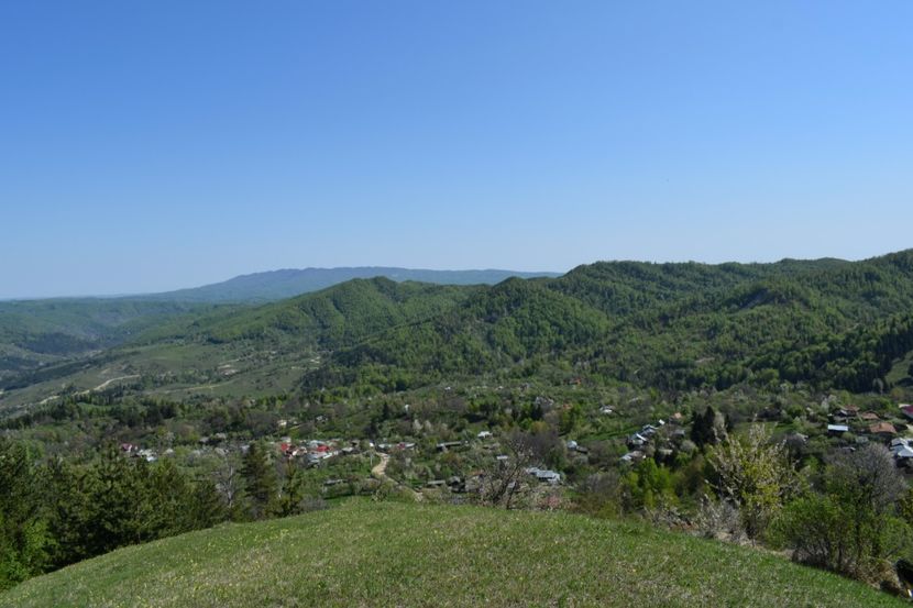  - Primăvara sălbatică