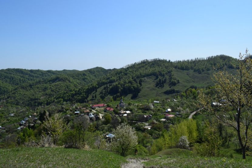  - Primăvara sălbatică