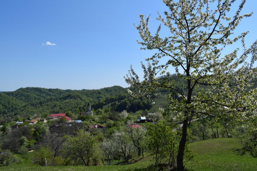  - Primăvara sălbatică