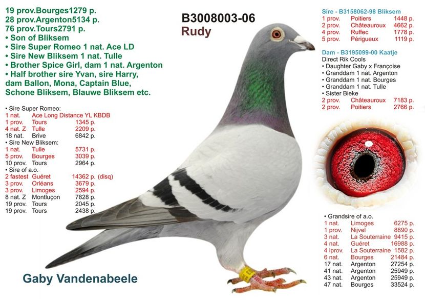 r - poze porumbei