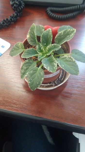 3 - Alan-s fallen Angel