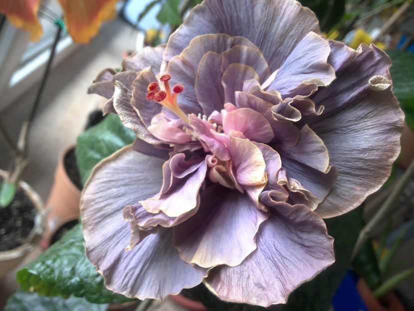 WIN_20180425_082542 - Stormy Days