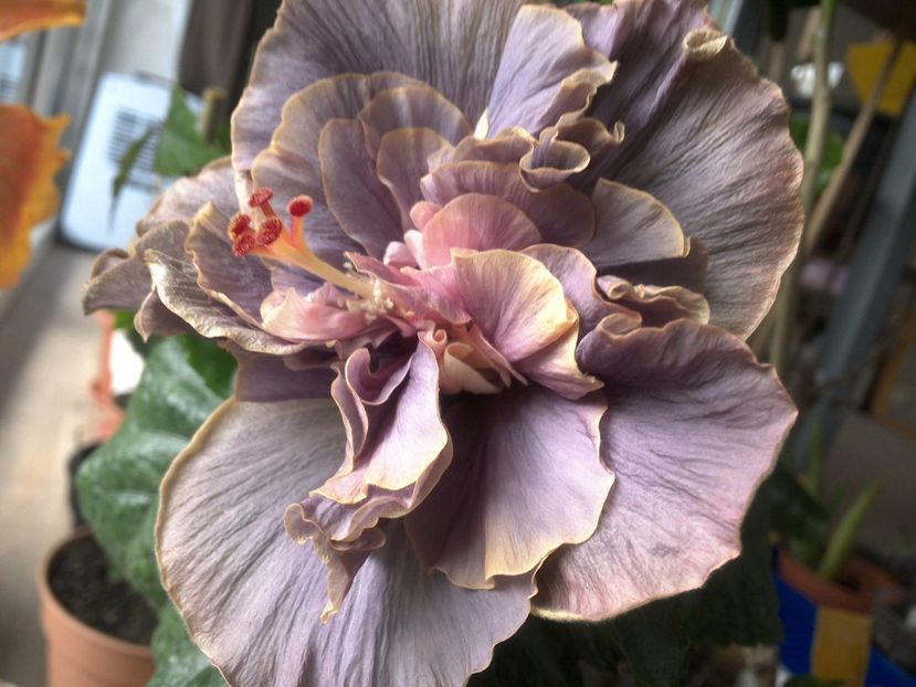 WIN_20180425_082555 - Stormy Days