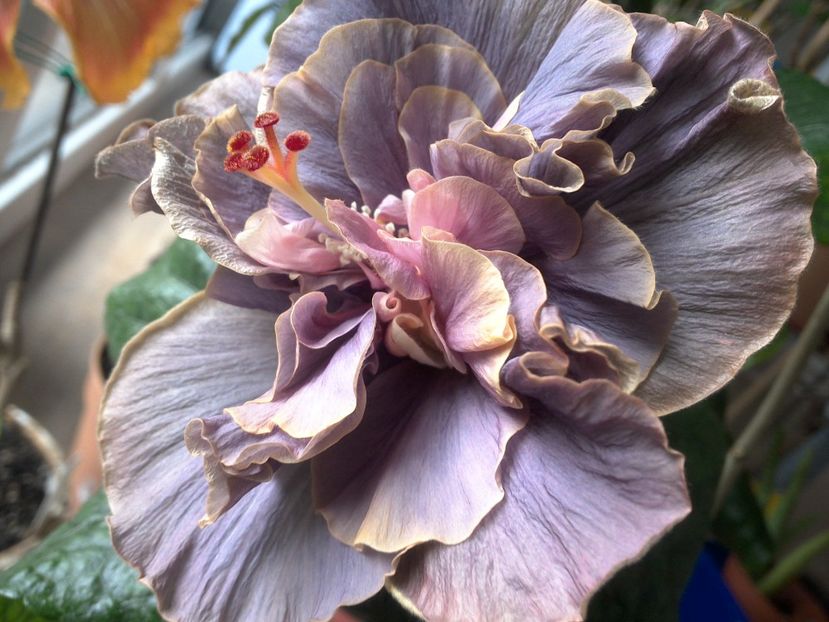 WIN_20180425_082600 - Stormy Days