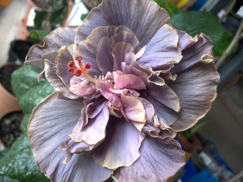 WIN_20180425_082606 - Stormy Days