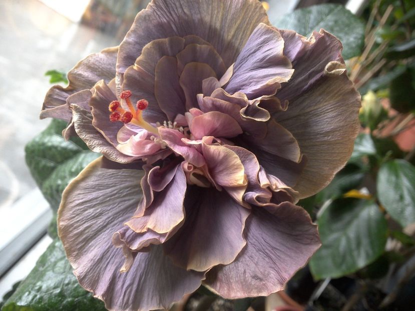 WIN_20180425_082617 - Stormy Days