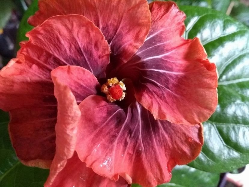 30931091_1927268547346584_886669949_o - Gabriel