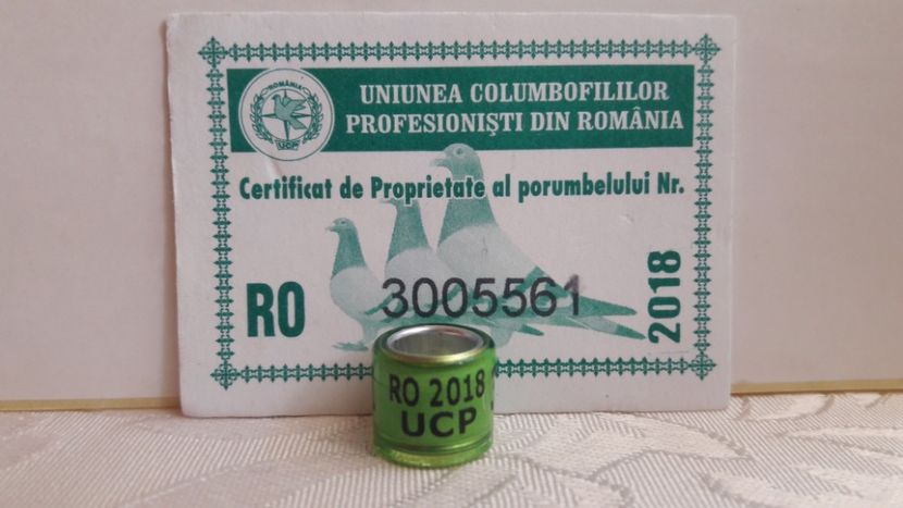RO UCP 2018 7 BUCĂȚI - INELE DE SCHIMB - RING FOR EXCHANGE