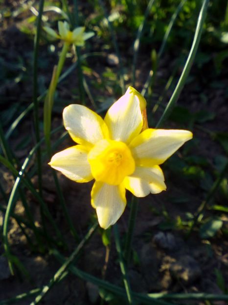  - curtea cu toate cele 2018